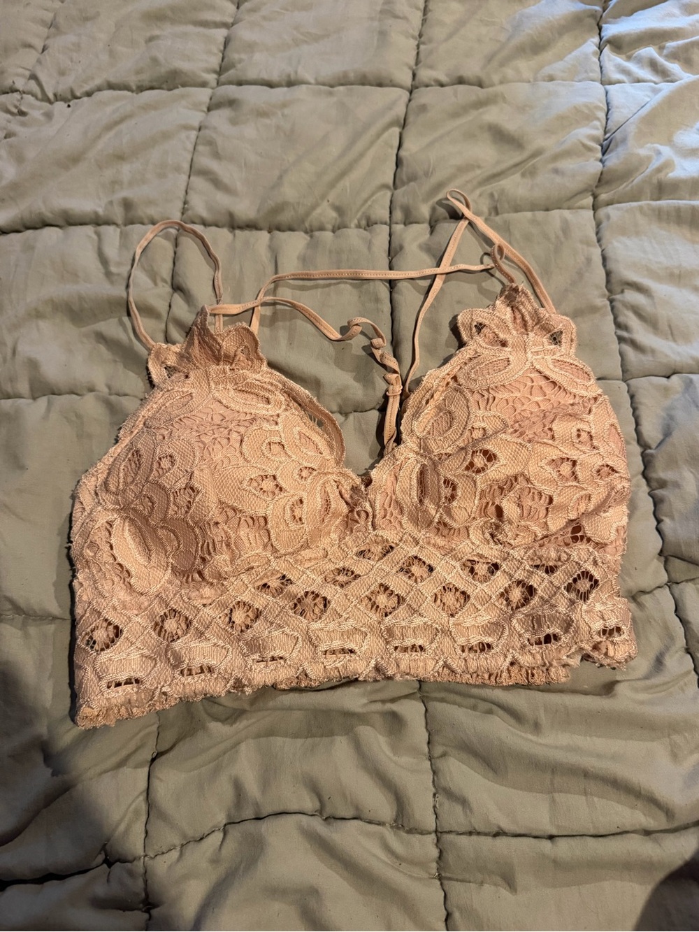 Anemone Lace Bralette in Blush